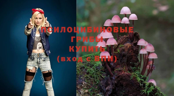 соль курить ск Алексеевка
